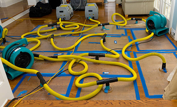Professional Basement Flood Cleanup technician working in Channelview, TX